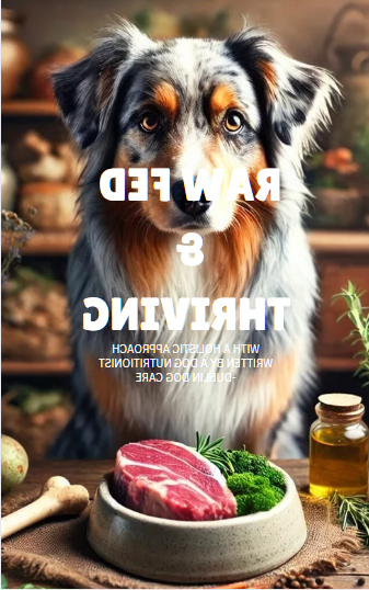 Screenshot 2025-01-30 1425521 Board-Boarding-Service-in-Swords-Dublin-Dog-Care